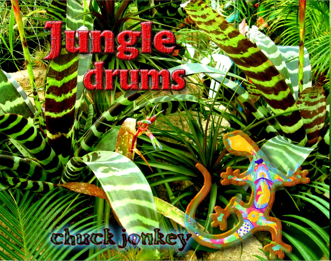 Download this Jungle Drums Back Cover picture